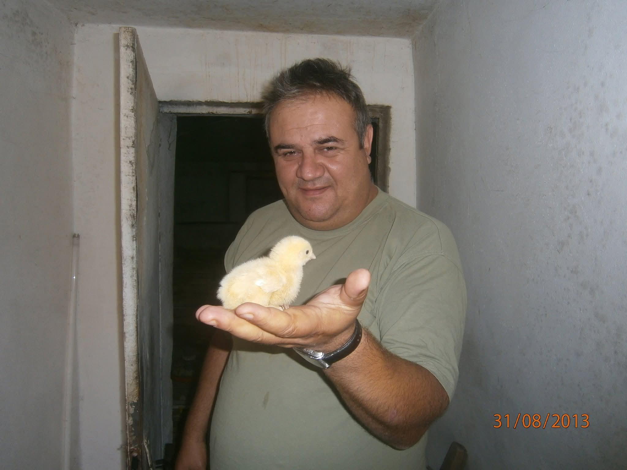 Vet clinic