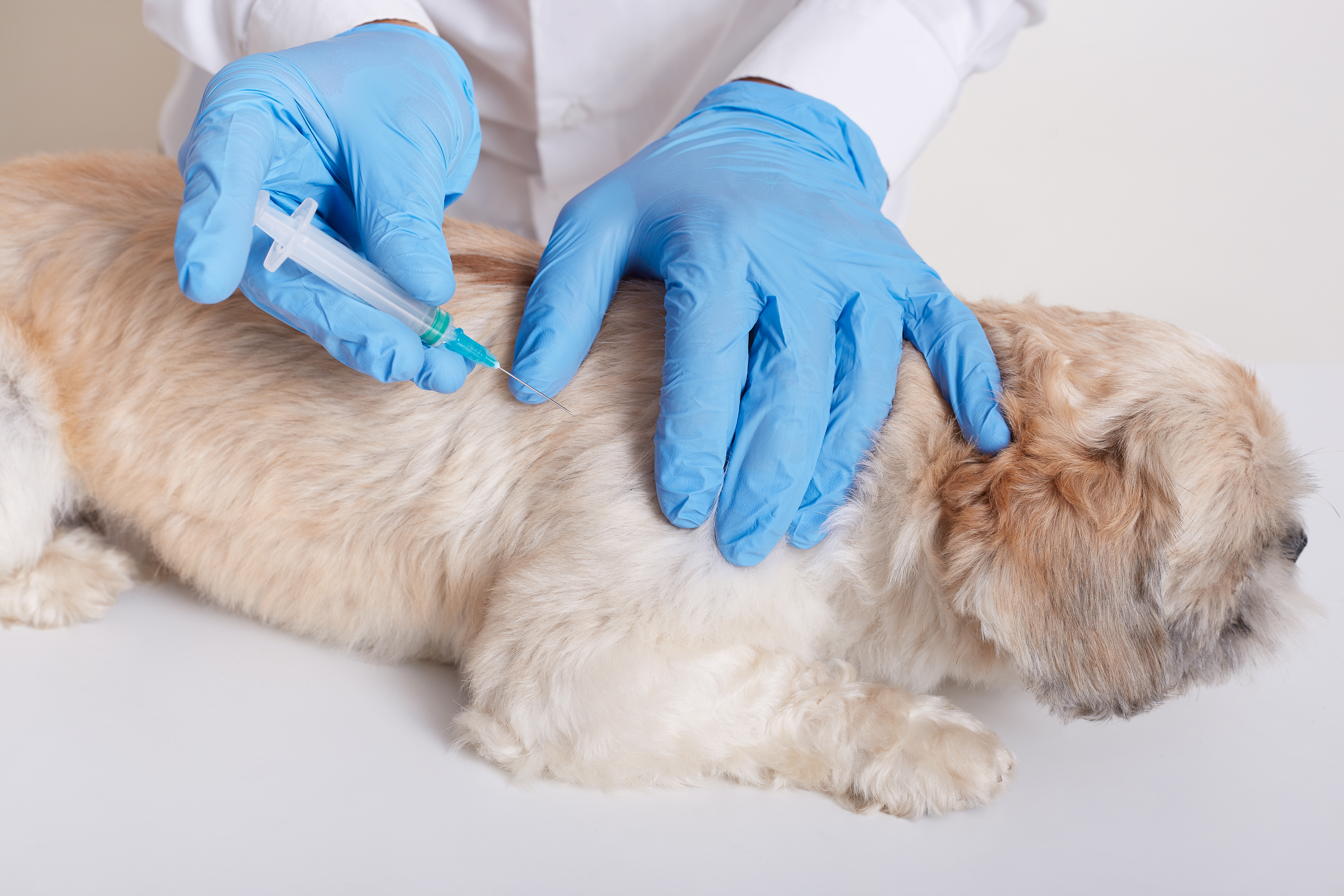 Vaccinations